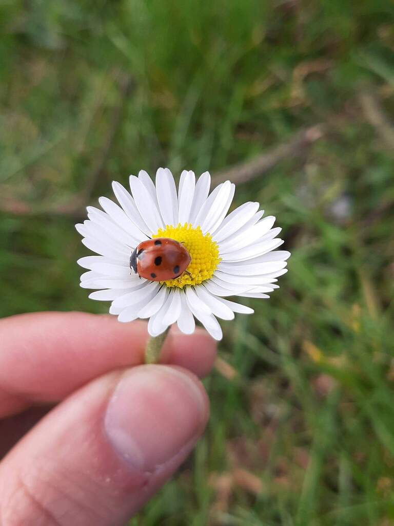 foto16